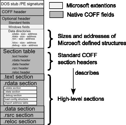 PE/COFF Layout